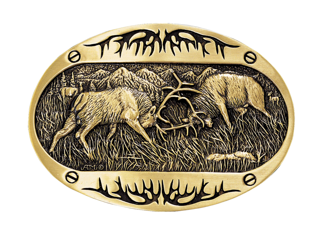 Brass colored oval Montana Silversmith's Attitude series buckle with rutting elk and antler designs at the top and bottom. Standard 1.5 belt swivel.  Amazing detail of 2 Elk fighting with their heads down with a mountain scene background Available at our shop just outside Nashville in Smyrna, TN. Dimensions: Width 3.63" Height 2.75" Length 0.16"