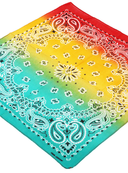 Paisley Vibrant Ombre Gradient Print Light-Weight Square Cotton Bandana. This eye-catching ombre bandana fades from red to yellow to teal, accented with a classic paisley print for a striking yet timeless vibe. Crafted from soft, breathable cotton, it's the perfect accessory to wear as a head wrap, neck scarf, face cover, or stylish pocket accent. In Stock at our Smyrna, TN shop not far from Murfreesboro.

Dimensions: 20.75" * 20.75" * 0.1"
100% Cotton