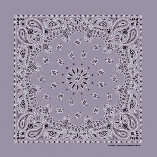 Traditional Paisley Bandanas in 24 Colors