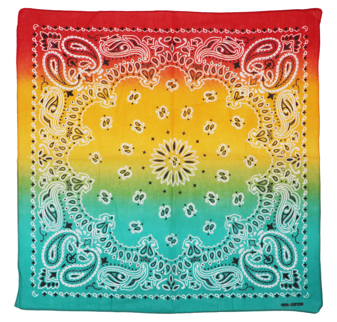 Paisley Vibrant Ombre Gradient Print Light-Weight Square Cotton Bandana. This eye-catching ombre bandana fades from red to yellow to teal, accented with a classic paisley print for a striking yet timeless vibe. Crafted from soft, breathable cotton, it's the perfect accessory to wear as a head wrap, neck scarf, face cover, or stylish pocket accent. In Stock at our Smyrna, TN shop not far from Murfreesboro.

Dimensions: 20.75" * 20.75" * 0.1"
100% Cotton