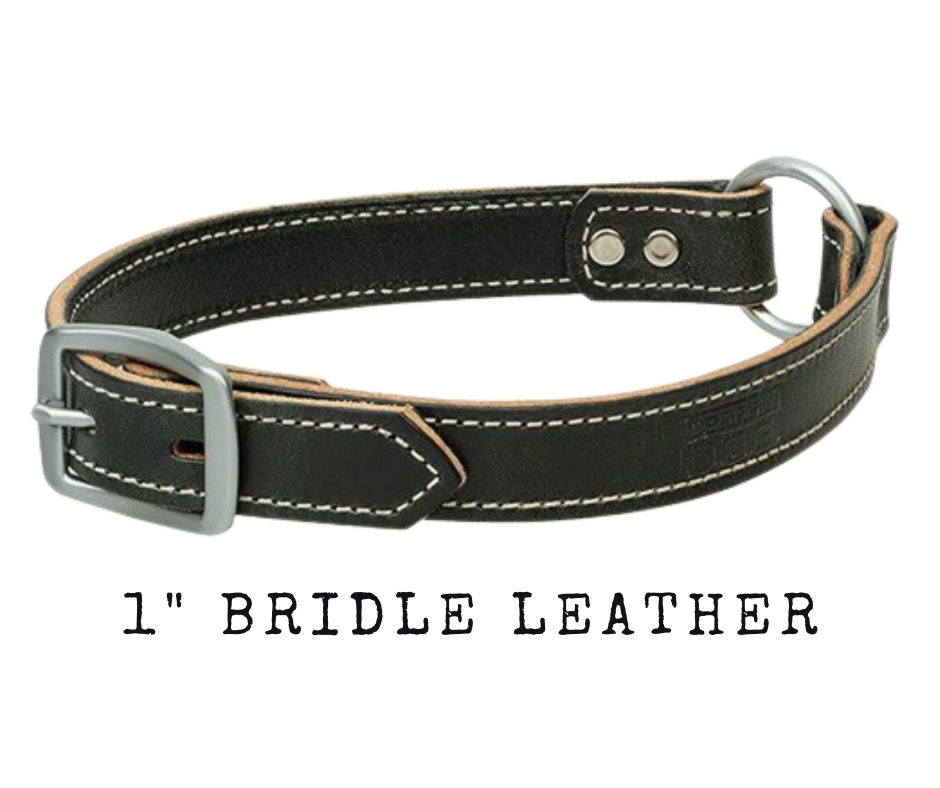 Constructed from durable, weather-resistant bridle leather. Center ring allows the collar to roll if caught on an obstruction. Aluminum-finished hardware provides long-lasting durability. Precise wheat stitching gives these collars a classic look. Available at our Smyrna, TN shop just outside Nashville.