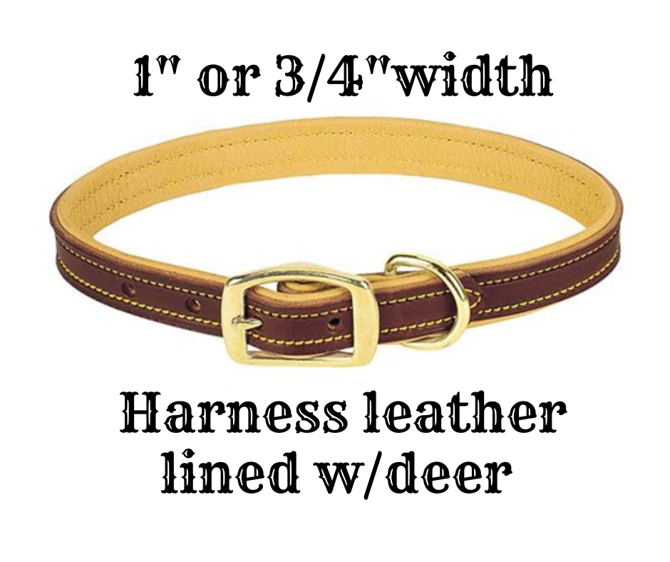 Harness/Deer Lined Leather Dog Collar