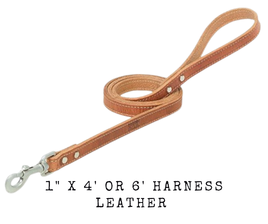 Heavyweight buttered Hermann Oak® harness leather stands the test of time, making it the trusted choice for your dog’s leash. Wheat stitching and aluminum-finished hardware complement the strength of these dog leashes for unparalleled quality.  Choose 4' or 6' length. Available at our Smyrna, TN shop just outside Nashville.   